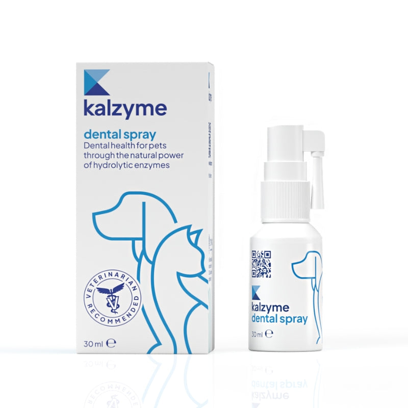 Kalzyme Dental Spray