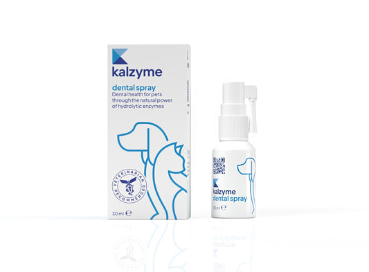 Kalzyme Dental Spray