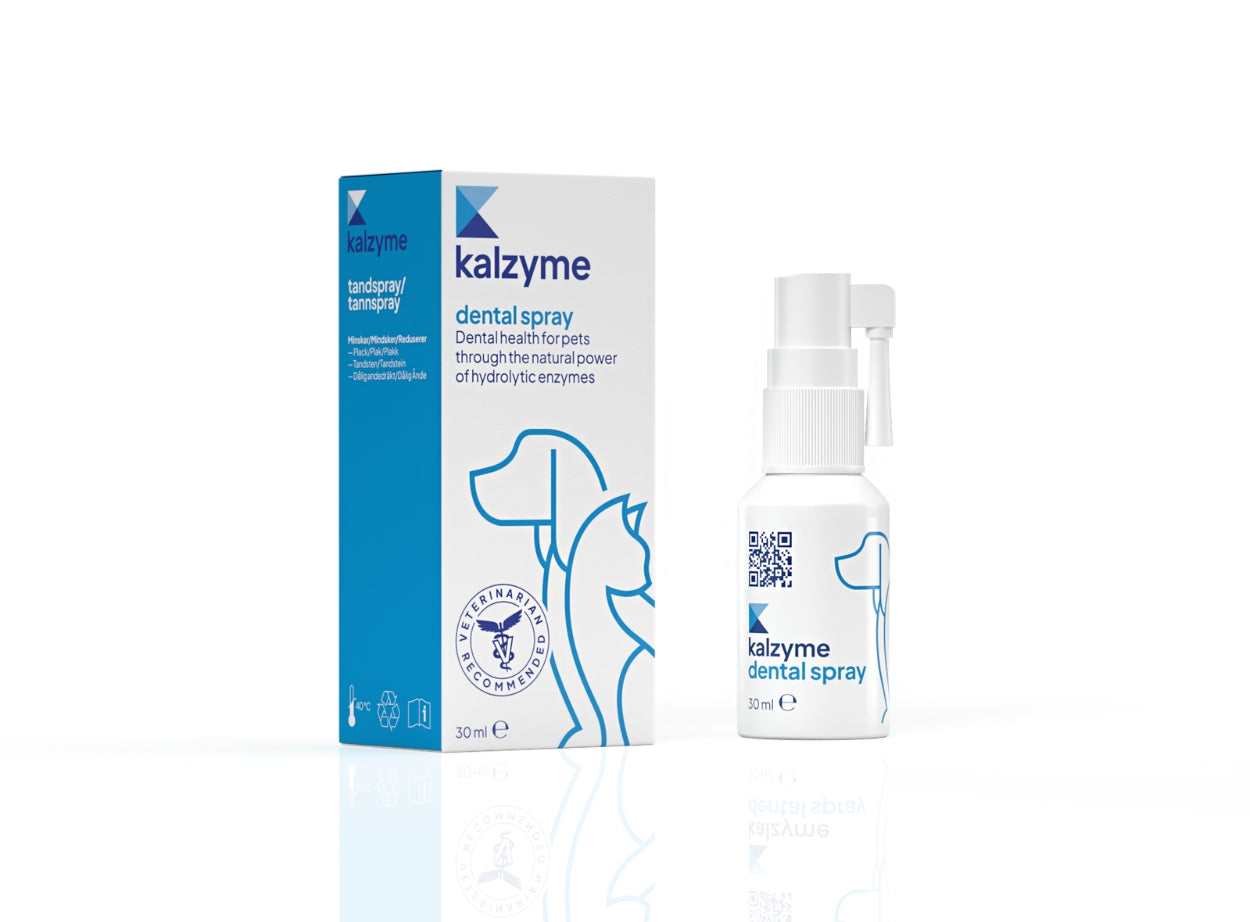 Kalzyme Dental Spray